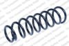 ROC CS8180 Coil Spring